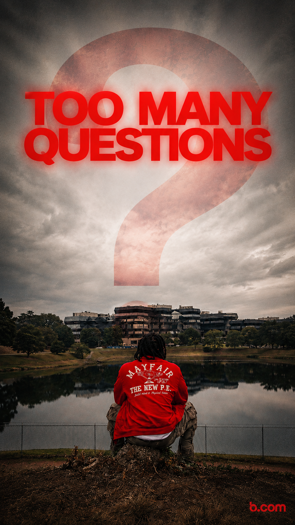 Too Many Questions
