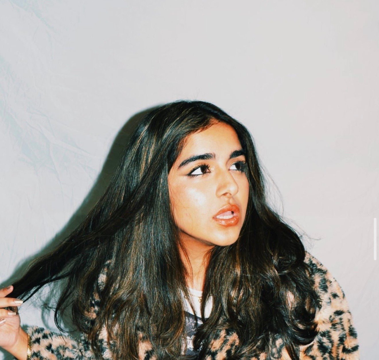 Sofia Gillani